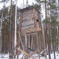 ЛАБАЗ