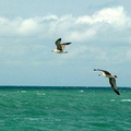 МОРЕ